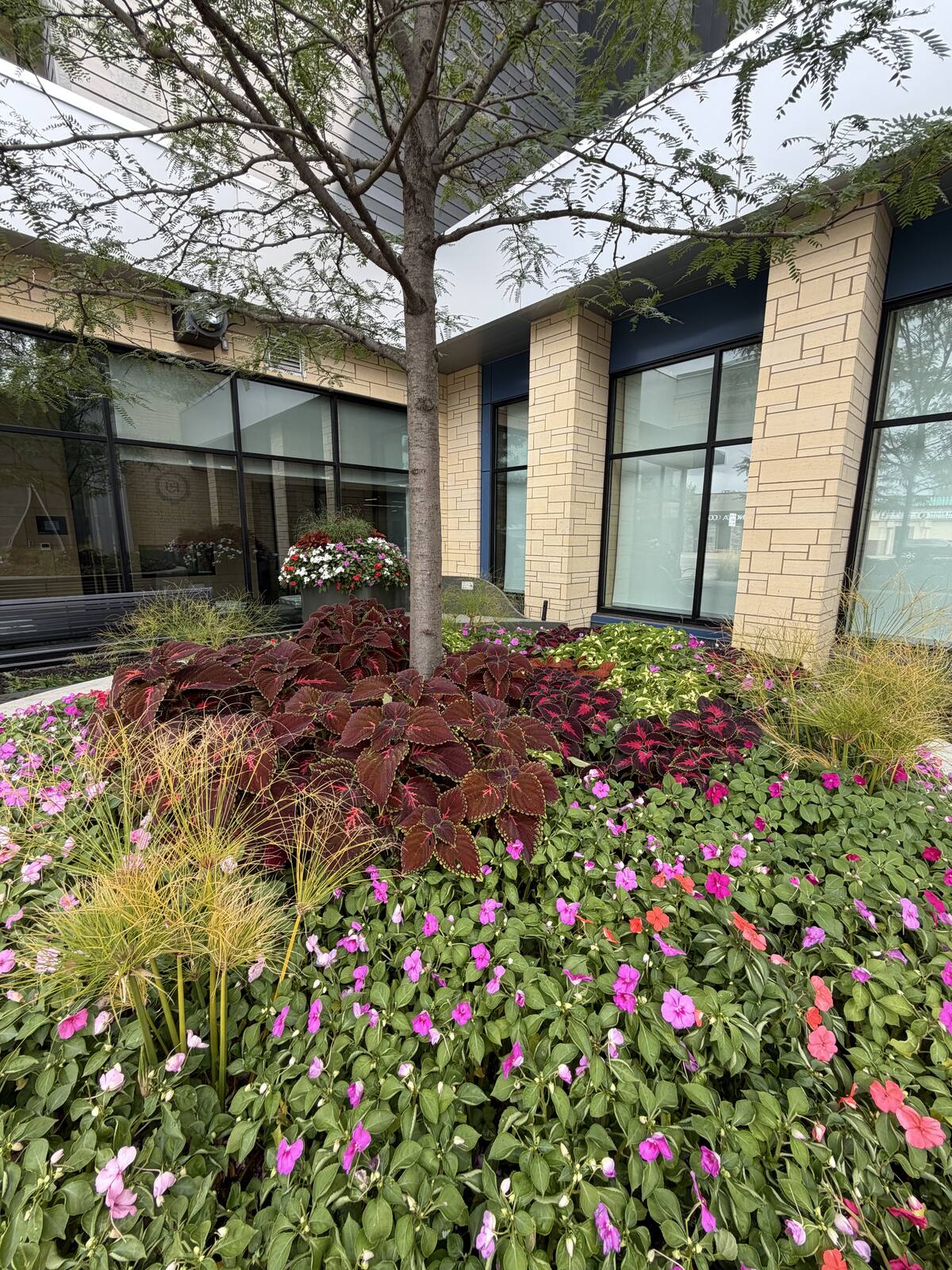 Seasonal annual beds in full colour along a Twin Cities commercial building